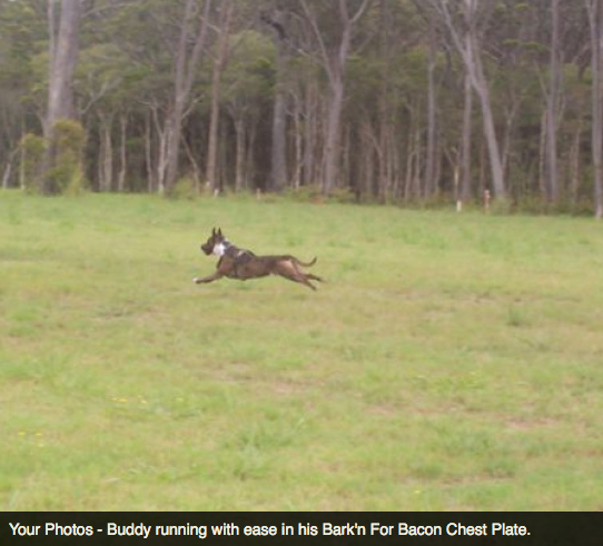 Screen Shot 2013-10-02 at 1.39.09 PM